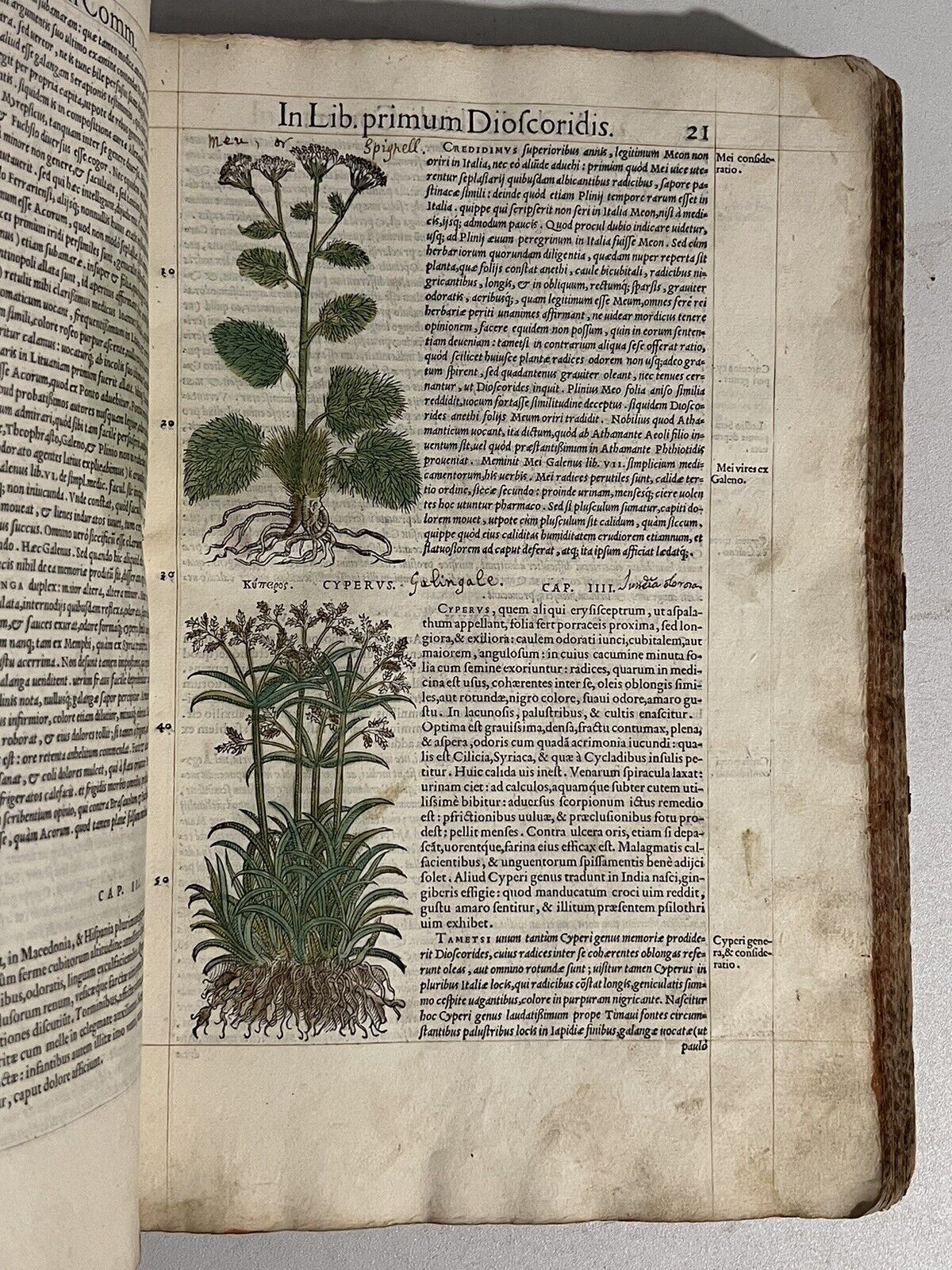 Pietro Andrea Mattioli Herbal 1554 Hand Coloured Woodcuts