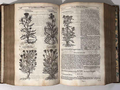 John Gerard's Herbal 1636