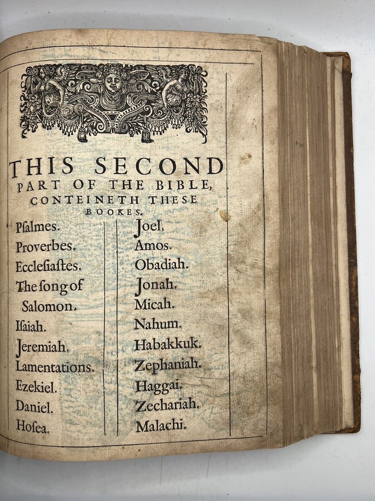 Geneva Bible 1599