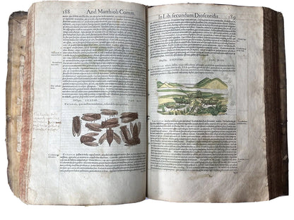 Senensis Commentarii by Pietro Andrea Mattioli 1554 Hand Coloured Herbal