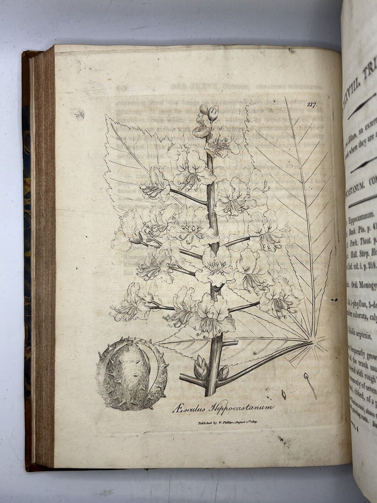 Woodville's Medical Botany 1810