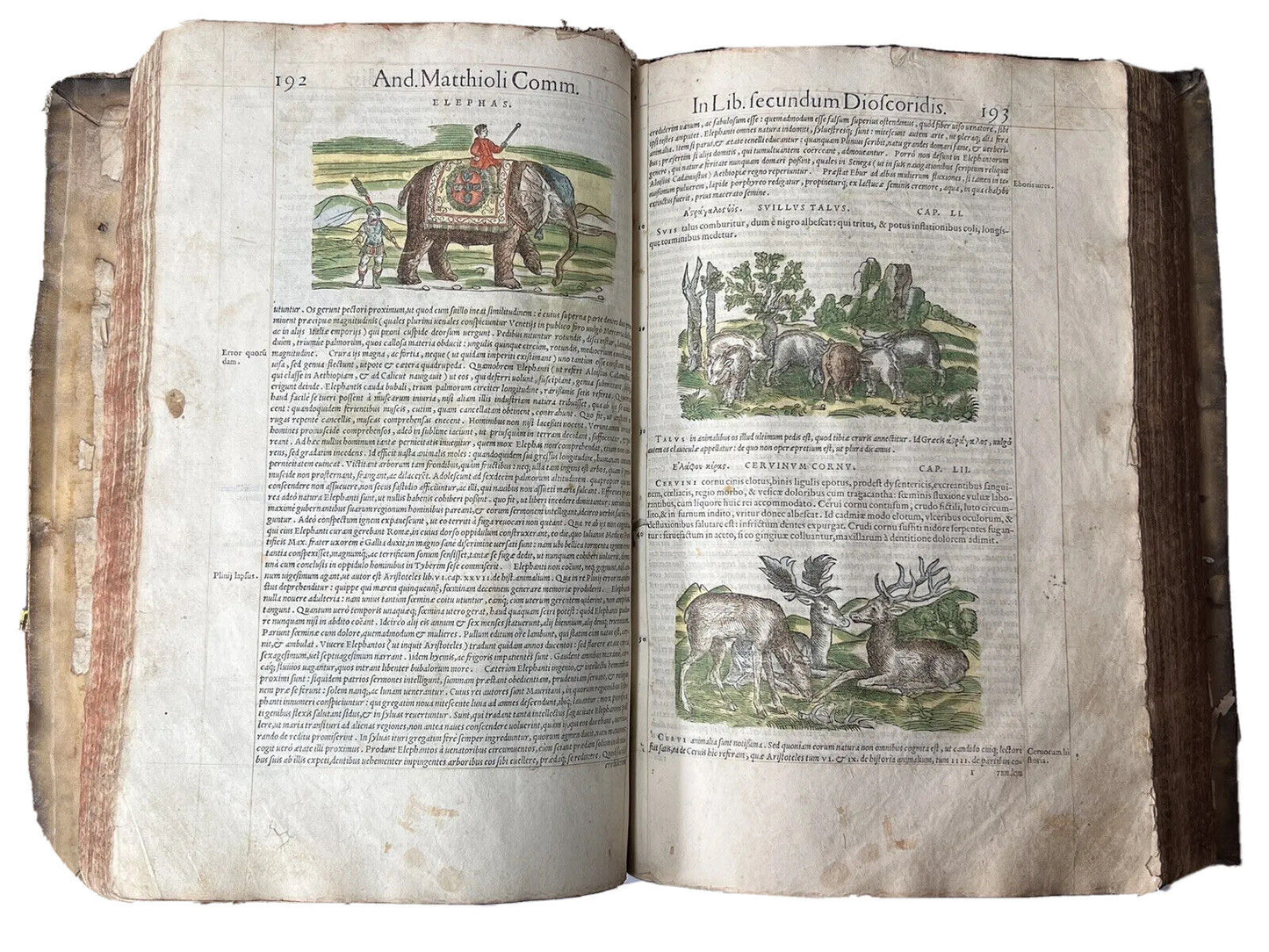 Senensis Commentarii by Pietro Andrea Mattioli 1554 Hand Coloured Herbal