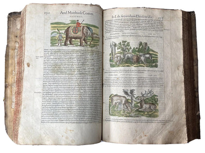 Senensis Commentarii by Pietro Andrea Mattioli 1554 Hand Coloured Herbal