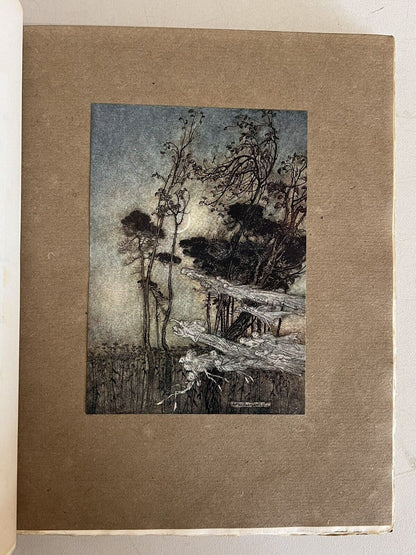 A Midsummer Night's Dream by William Shakespeare 1908 Arthur Rackham Signed