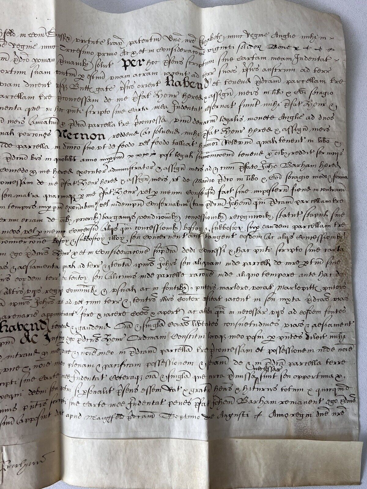 William Shakespeare Associated Vellum Document Dated 1599 Elizabethan