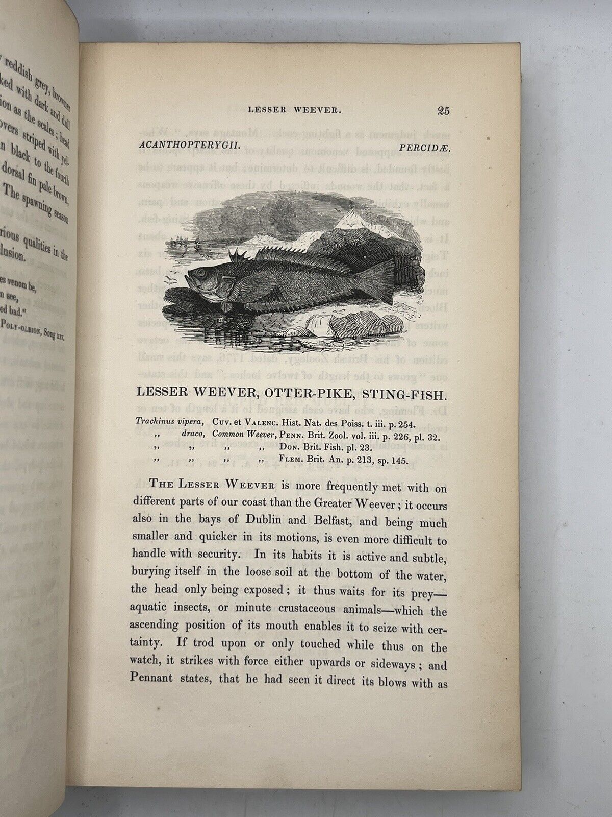 A History of British Fishes by William Yarrell 1836 First Edition