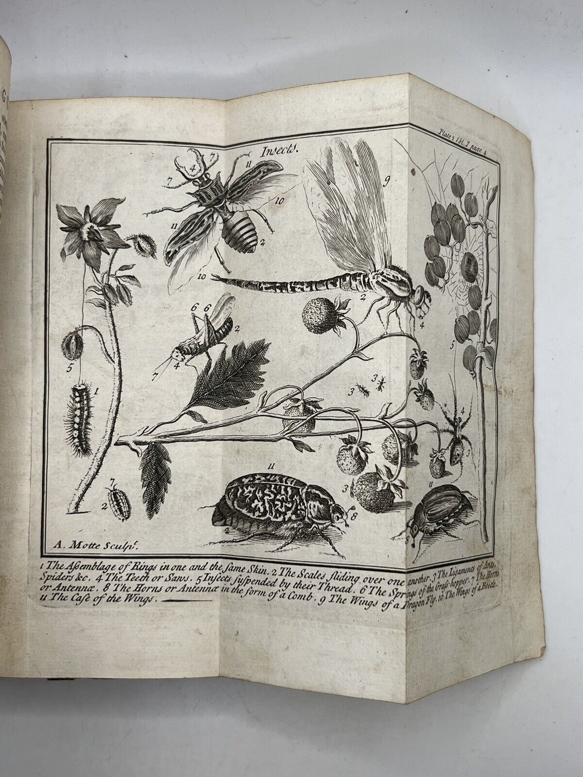 Discourses on Natural History 1739