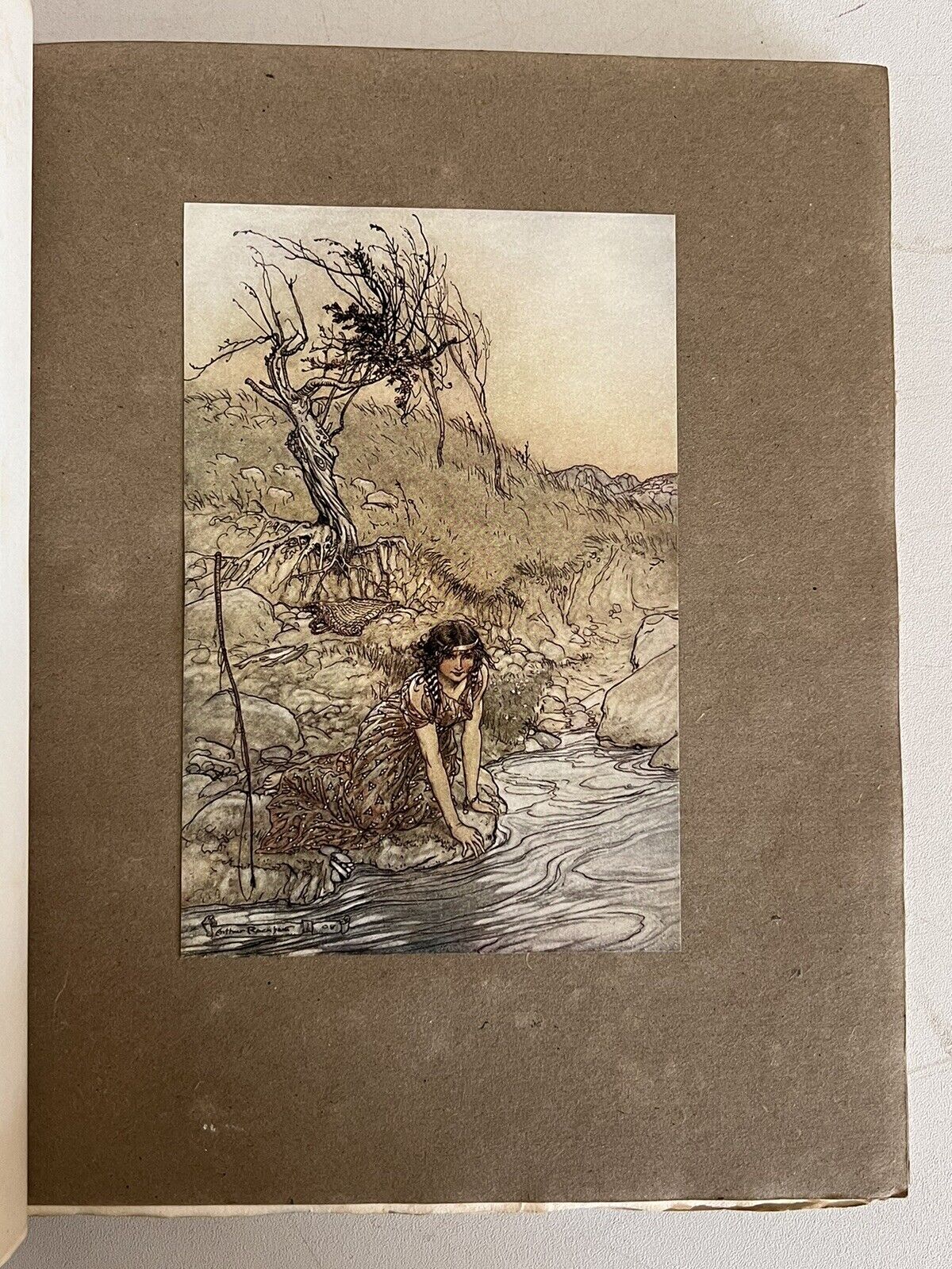 A Midsummer Night's Dream by William Shakespeare 1908 Arthur Rackham Signed