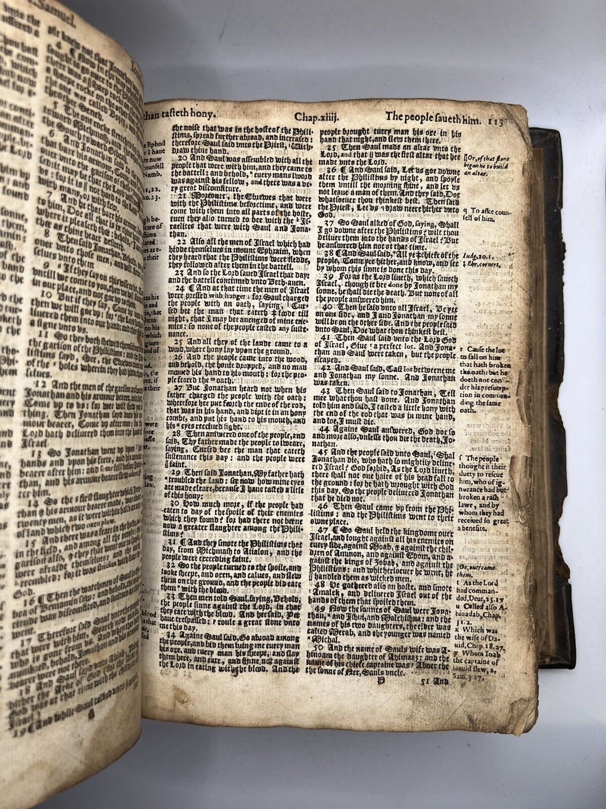 Geneva "Breeches" Bible 1611