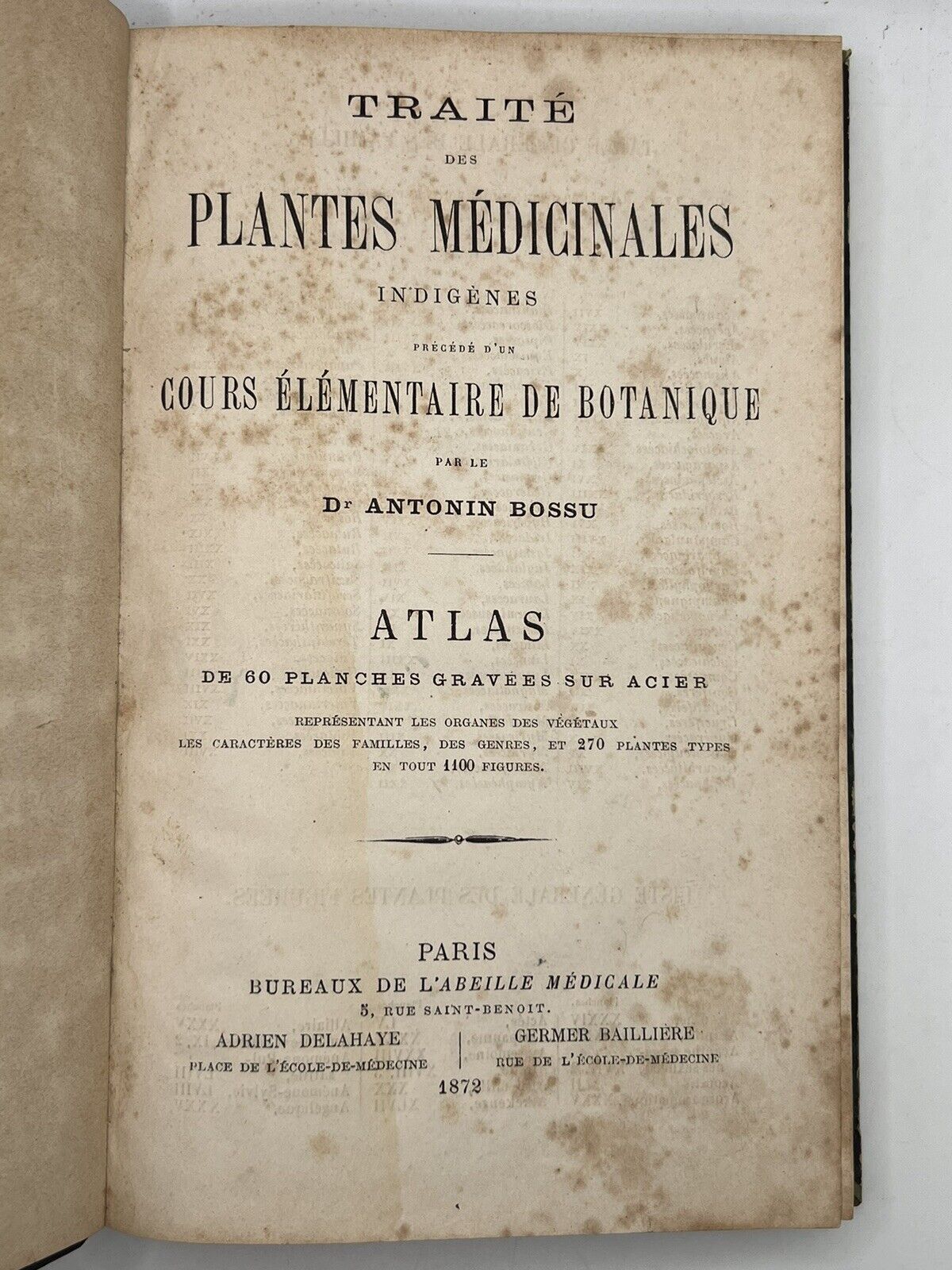 Medical Plants 1872