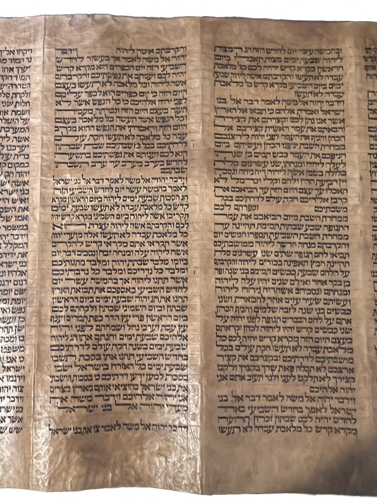 Complete 18th Century Torah Scroll: 5 Books of Moses