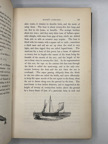 A History of British Fishes by William Yarrell 1836 First Edition