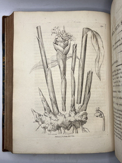 Woodville's Medical Botany 1810