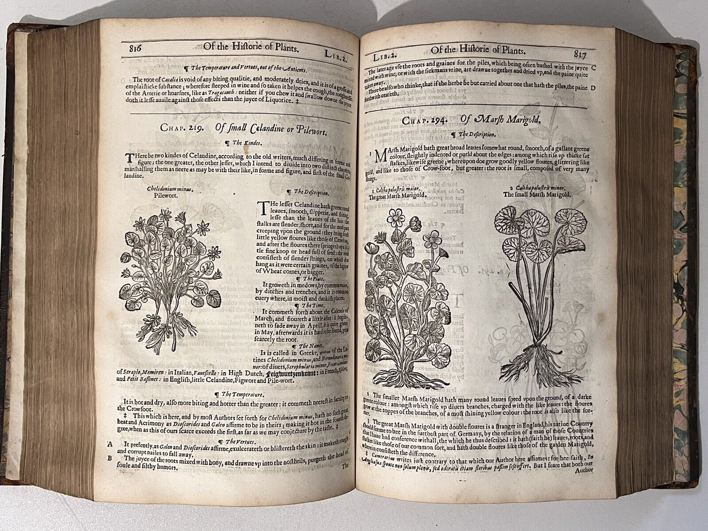 John Gerard's Herbal 1636