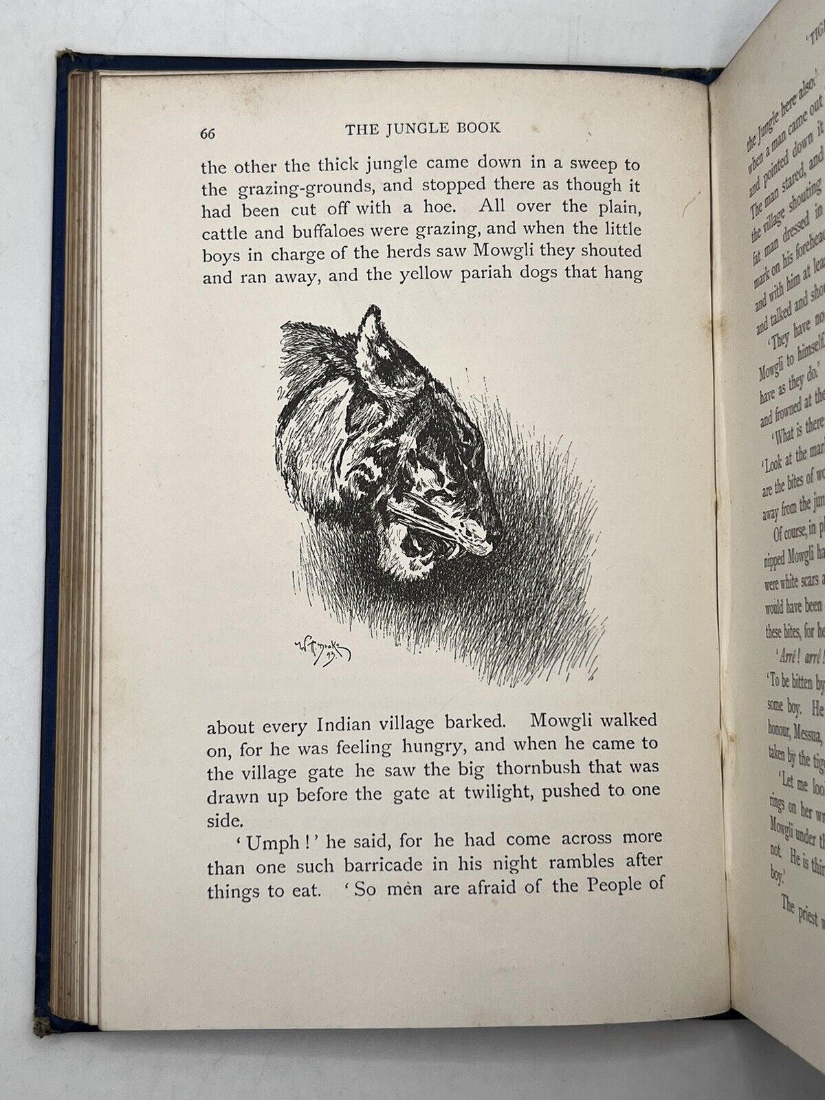 The Jungle Books by Rudyard Kipling 1894-5 - 2nd/1st Impr.