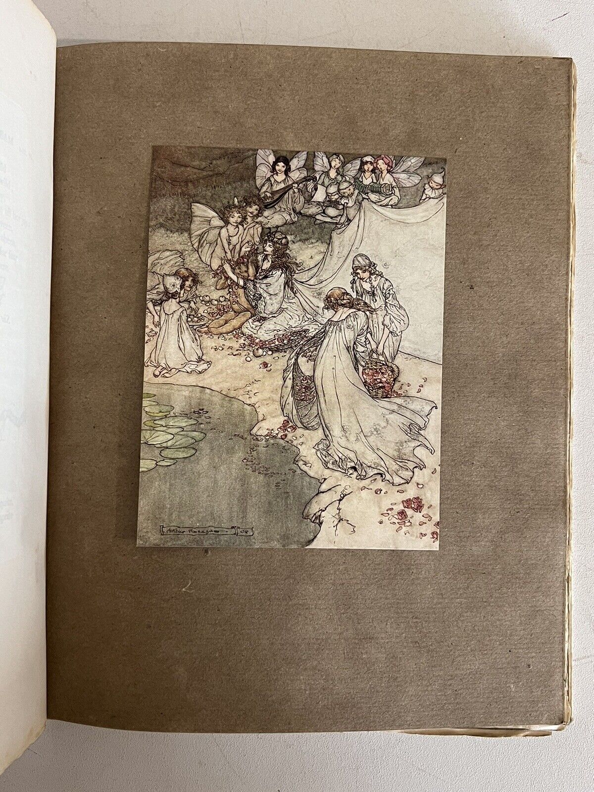 A Midsummer Night's Dream by William Shakespeare 1908 Arthur Rackham Signed