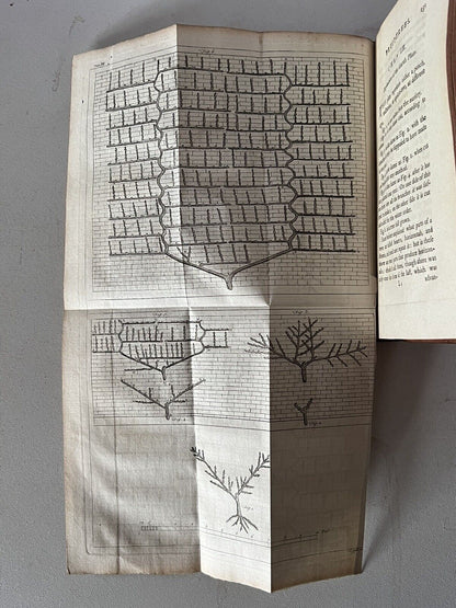 A Treatise of Fruit-Trees by Thomas Hitt 1768