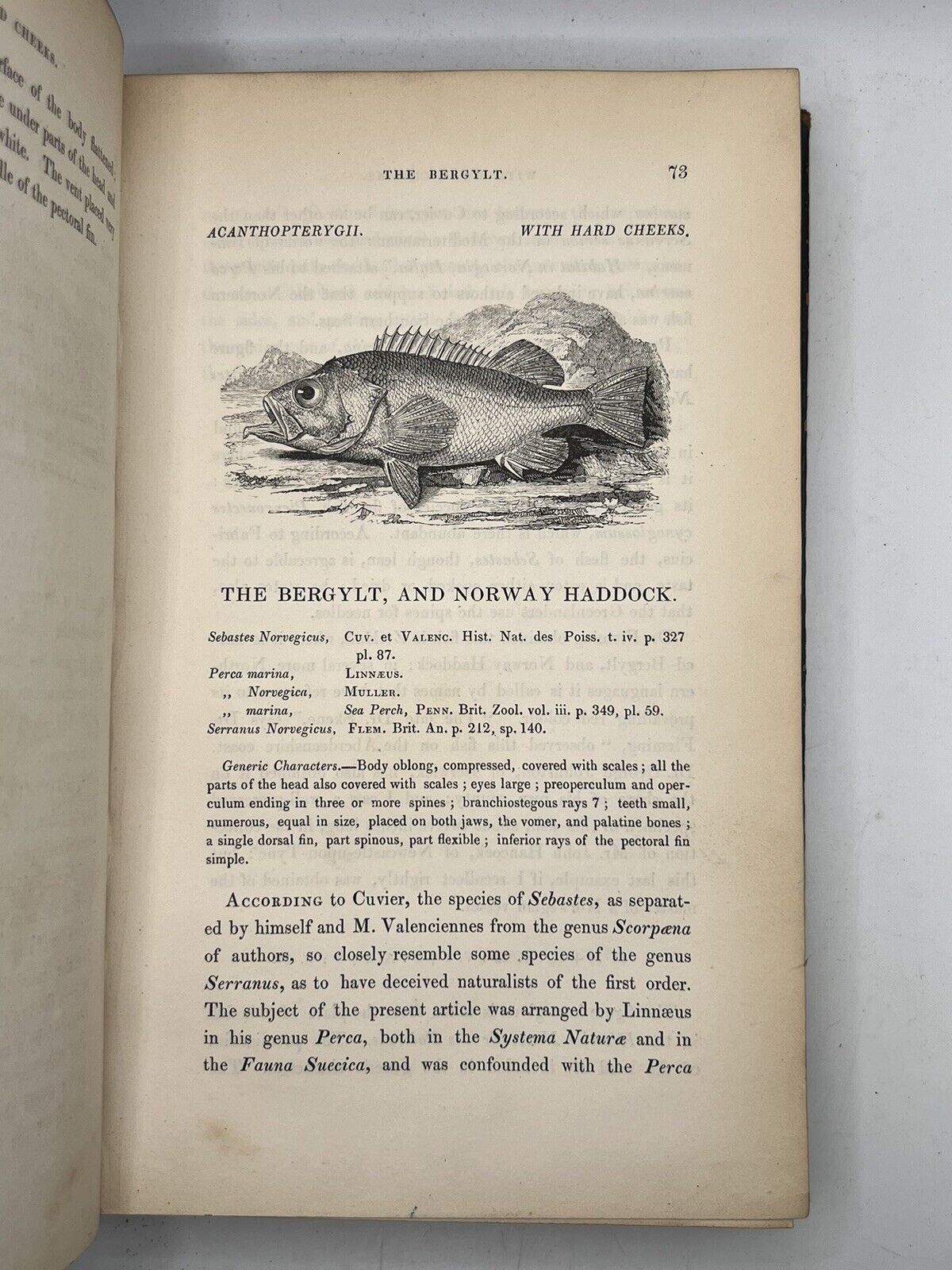 A History of British Fishes by William Yarrell 1836 First Edition