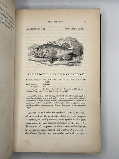 A History of British Fishes by William Yarrell 1836 First Edition