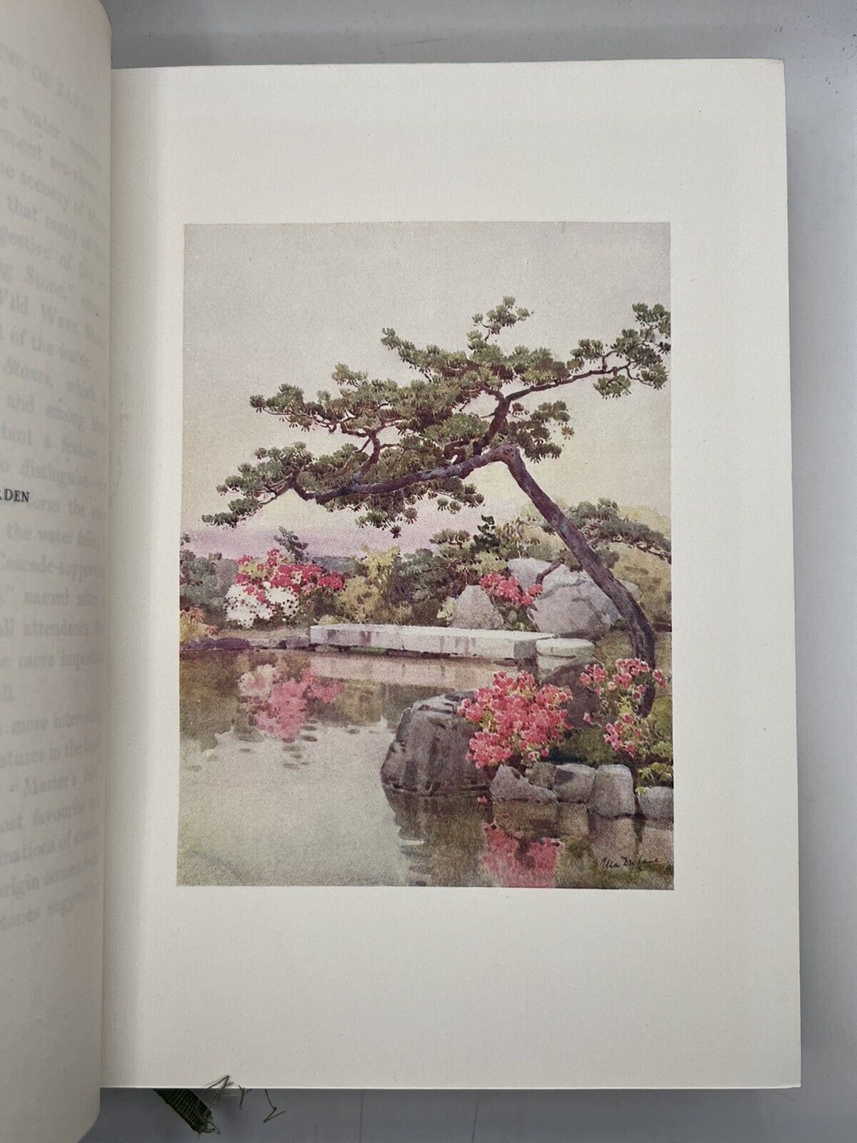 The Flowers and Gardens of Japan 1908