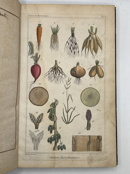 Medical Plants 1872