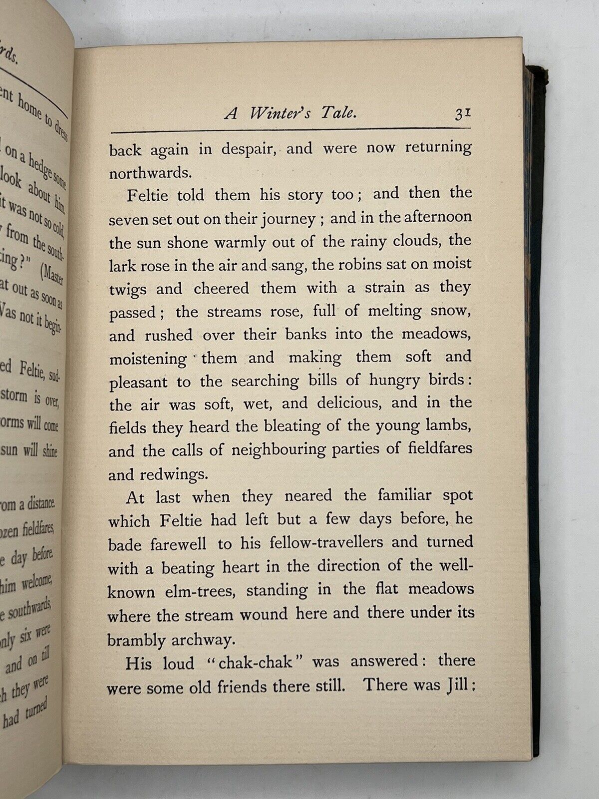 Tales of the Birds by W. Warde Fowler 1903