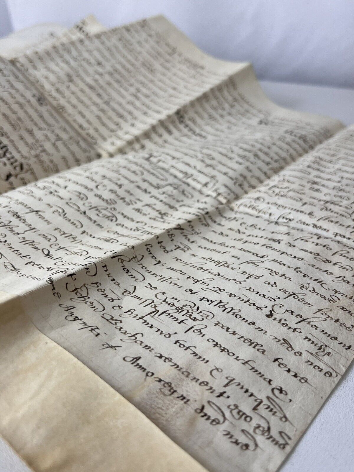 William Shakespeare Associated Vellum Document Dated 1599 Elizabethan